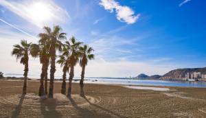 Obra Nueva - Villa / Chalet - Els Poblets - Partida Barranquets