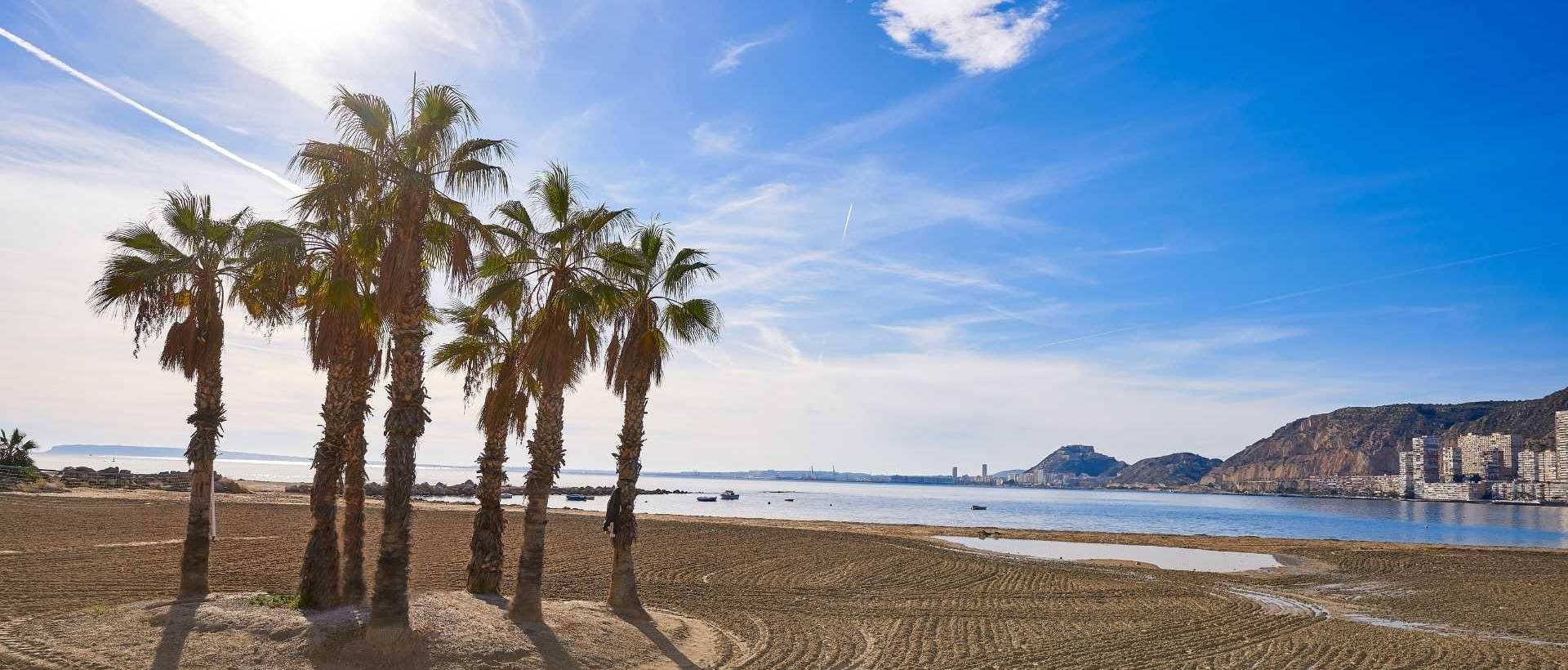 Obra Nueva - Villa / Chalet - Els Poblets - Partida Barranquets