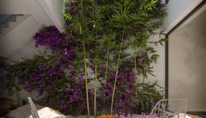 Obra Nueva - Apartmento - San Juan Alicante - Nou Nazareth