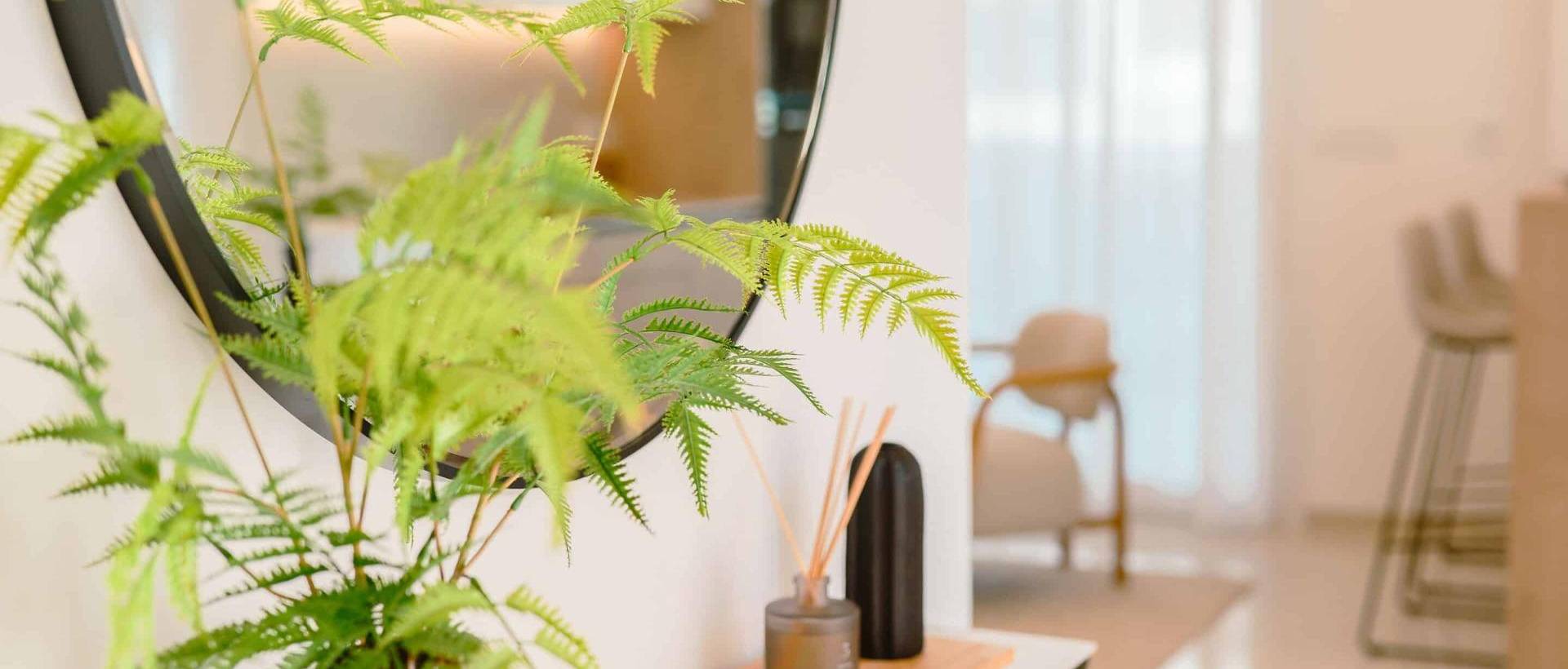 New - Apartment - Rojales - Dona Pepa