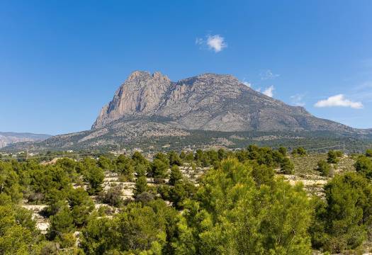 New - Villa - Finestrat - Balcón de finestrat