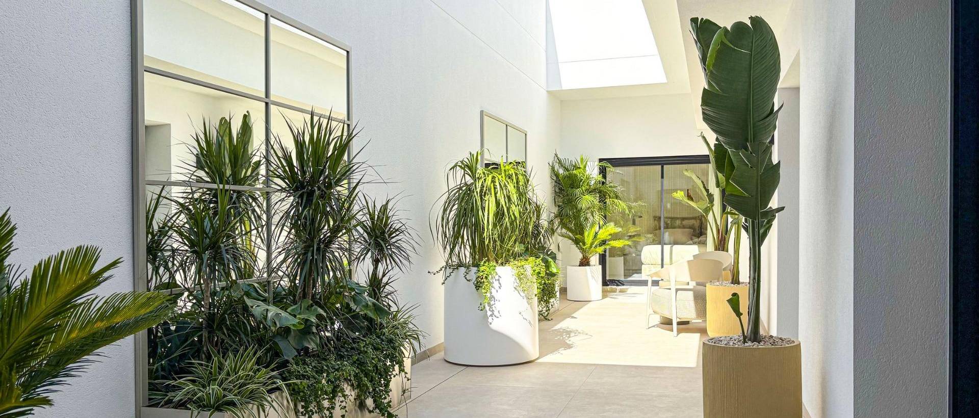 Obra Nueva - Villa / Chalet - Rojales - Ciudad Quesada