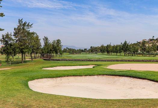 Obra Nueva - Villa / Chalet - Rojales - Ciudad Quesada