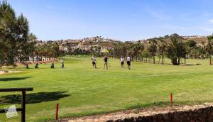 Obra Nueva - Villa / Chalet - Rojales - Ciudad Quesada