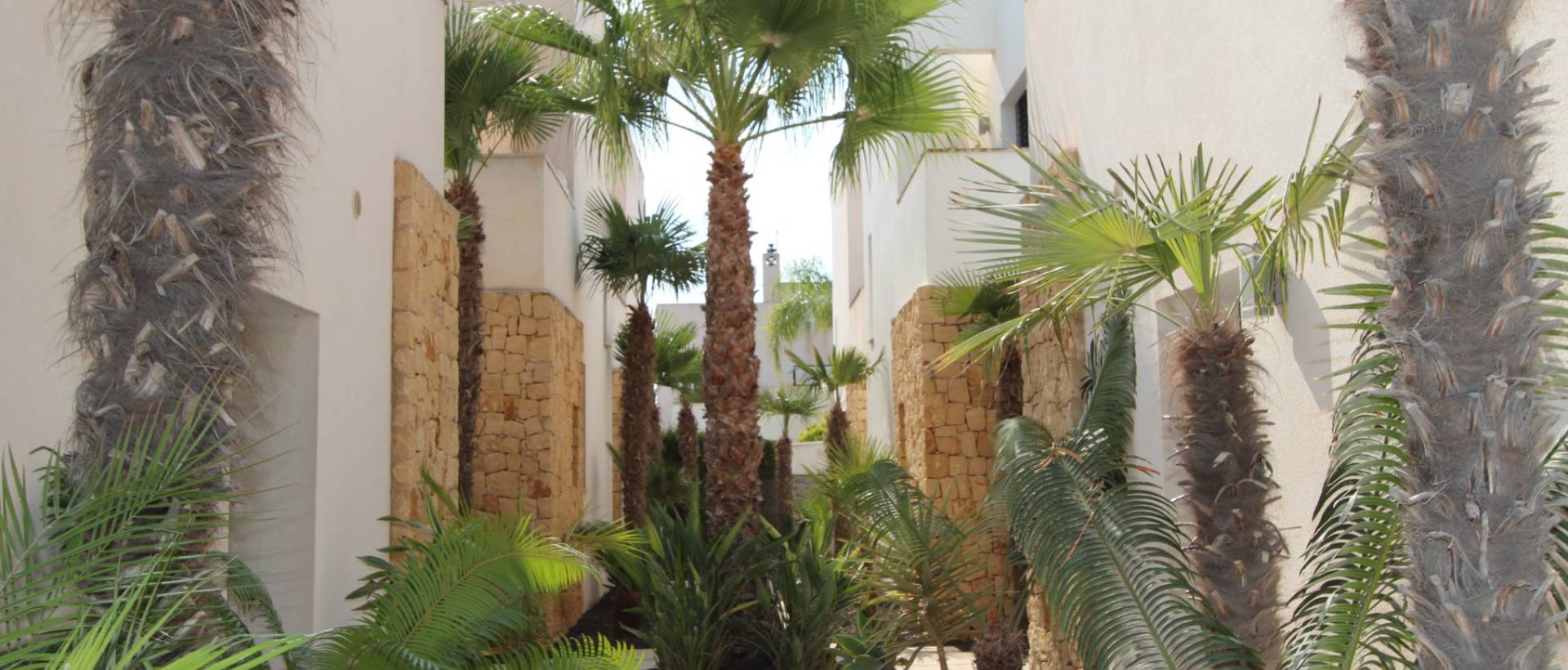 Resale - Villa - Ciudad Quesada - Doña Pepa