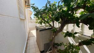 Resale - Villa - Ciudad Quesada - Airstrip