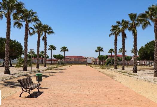 Obra Nueva - Villa / Chalet - San Fulgencio - La Escuera