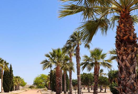 Obra Nueva - Villa / Chalet - San Fulgencio - La Escuera