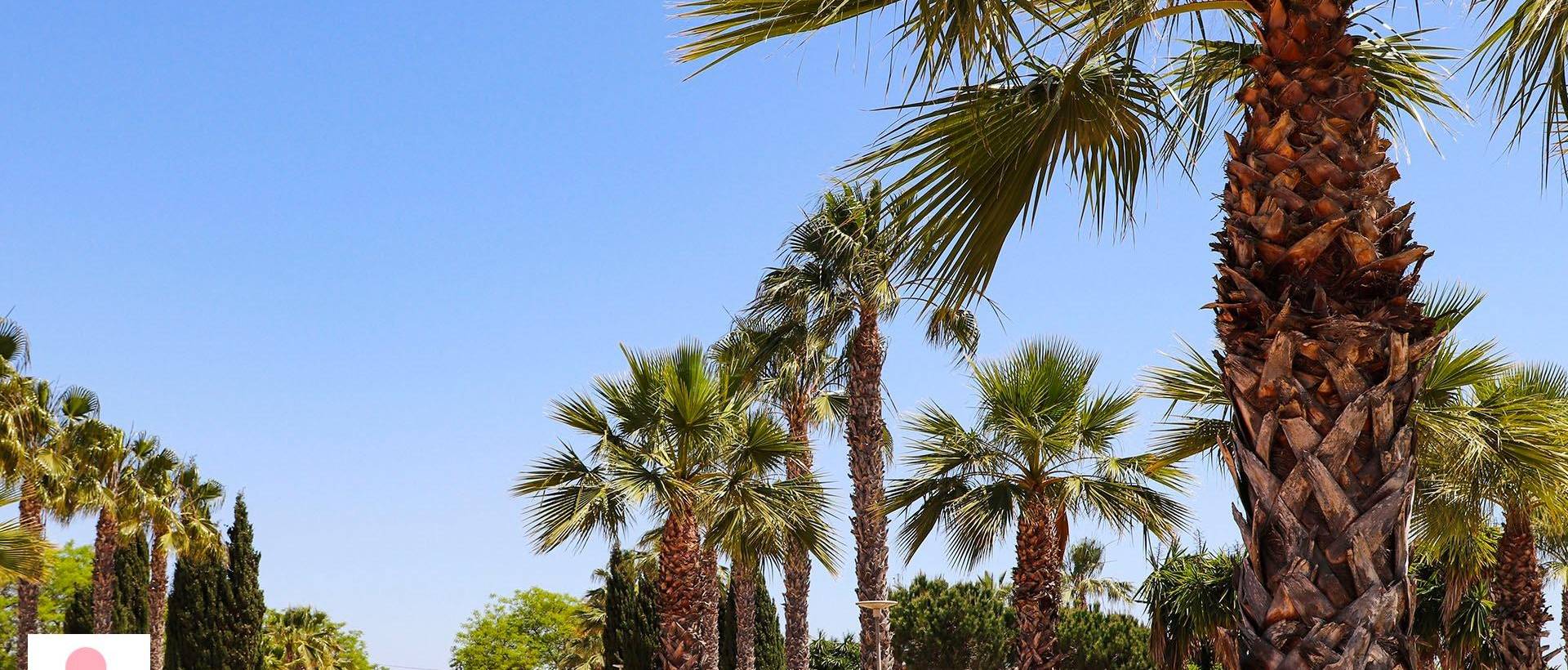 Obra Nueva - Villa / Chalet - San Fulgencio - La Escuera