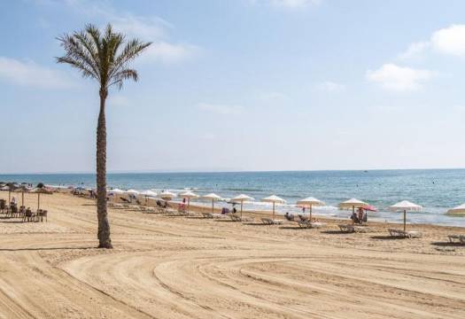 New - Apartment - Guardamar del Segura - Pueblo