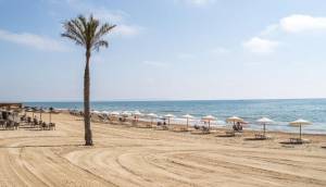 New - Apartment - Guardamar del Segura - Pueblo