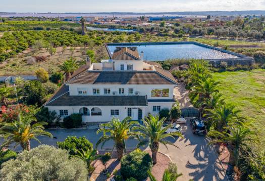 Finca / Casa de Campo - Reventa - Los Montesinos - Los Montesinos