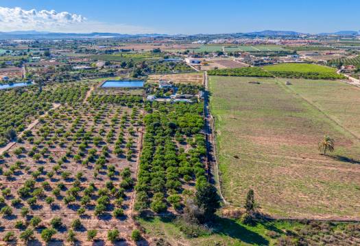 Resale - Finca / Country Property - Los Montesinos