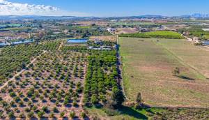 Resale - Finca / Country Property - Los Montesinos