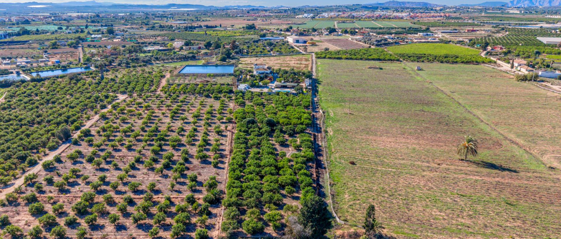 Resale - Finca / Country Property - Los Montesinos