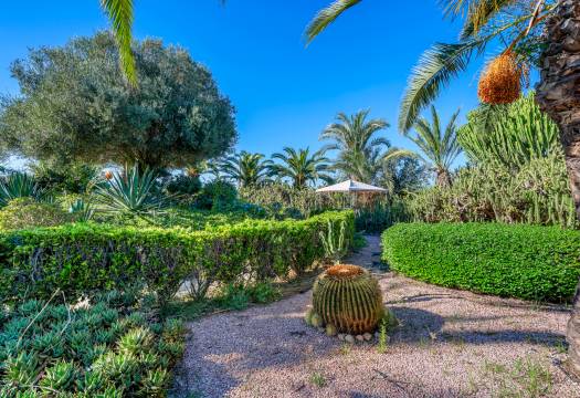 Resale - Finca / Country Property - Los Montesinos