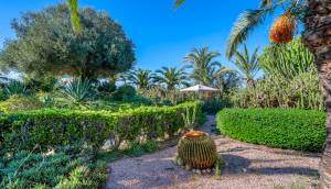 Resale - Finca / Country Property - Los Montesinos