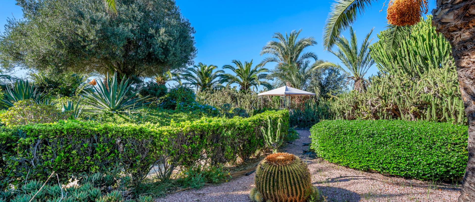 Resale - Finca / Country Property - Los Montesinos