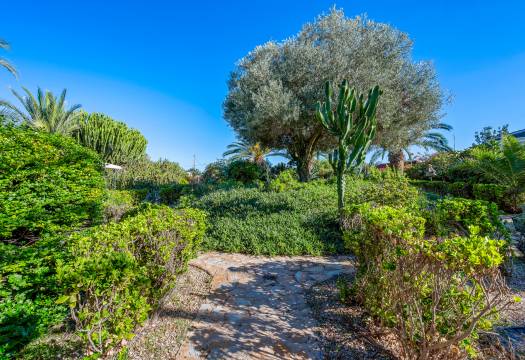 Resale - Finca / Country Property - Los Montesinos