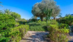 Resale - Finca / Country Property - Los Montesinos