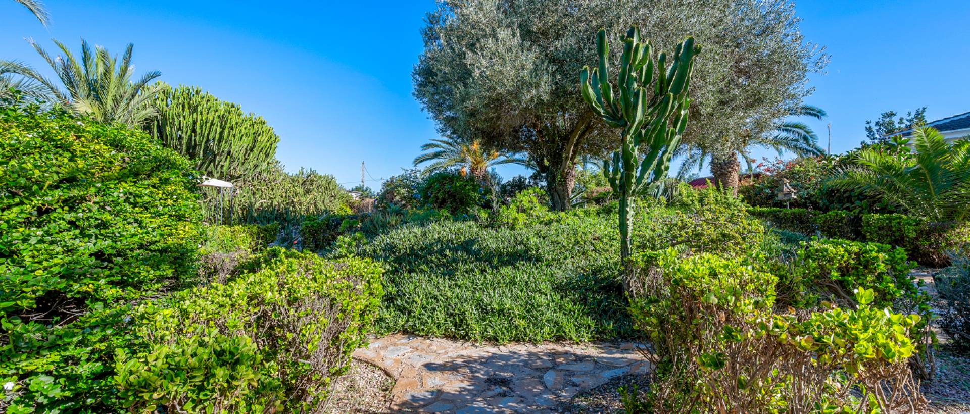 Resale - Finca / Country Property - Los Montesinos