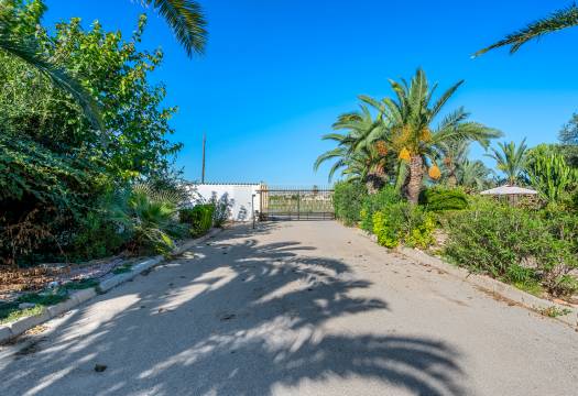 Resale - Finca / Country Property - Los Montesinos