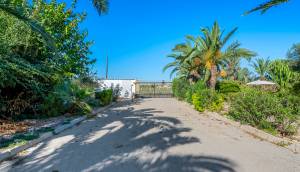 Resale - Finca / Country Property - Los Montesinos