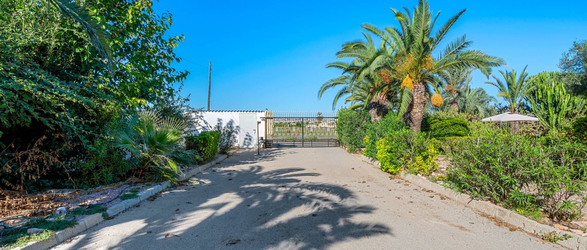 Resale - Finca / Country Property - Los Montesinos