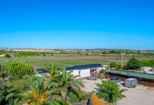 Resale - Finca / Country Property - Los Montesinos