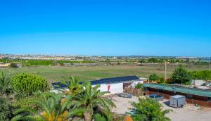 Resale - Finca / Country Property - Los Montesinos