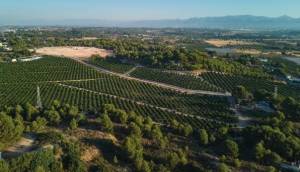 Obra Nueva - Apartmento - Godella - Campolivar