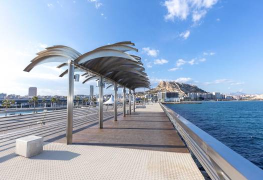 Obra Nueva - Apartmento - Alicante - Centro