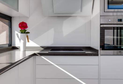 New - Villa - Pilar de la Horadada