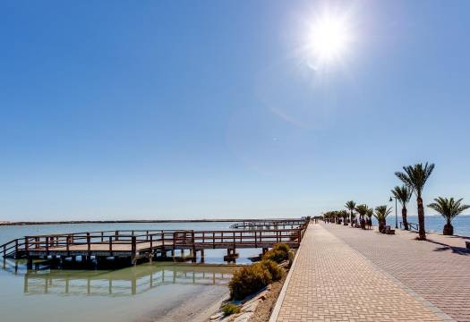 New - Villa - Pilar de la Horadada