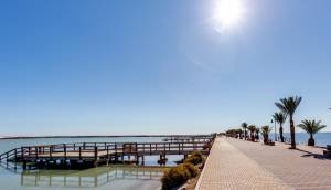 New - Villa - Pilar de la Horadada