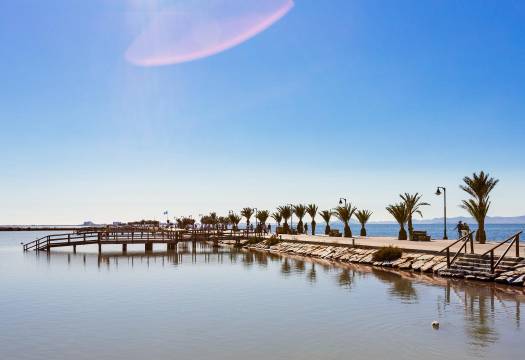 New - Villa - Pilar de la Horadada