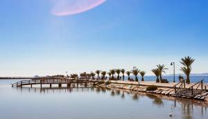 New - Villa - Pilar de la Horadada