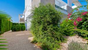 Resale - Villa - Ciudad Quesada - Doña Pepa