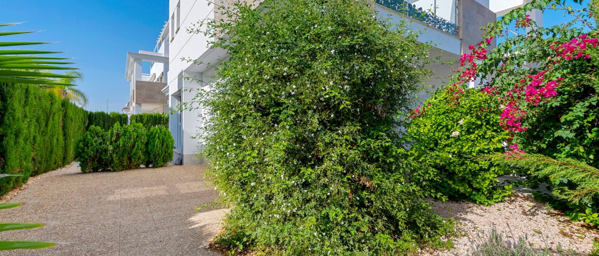 Resale - Villa - Ciudad Quesada - Doña Pepa