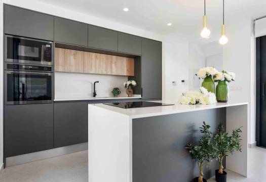 Obra Nueva - Villa / Chalet - Rojales - Benimar