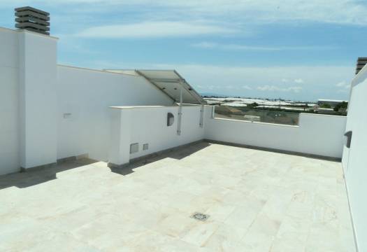 Obra Nueva - Villa / Chalet - Pilar de la Horadada - El Pilar de la Horadada