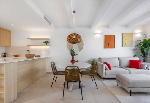 Obra Nueva - Apartmento - Dolores