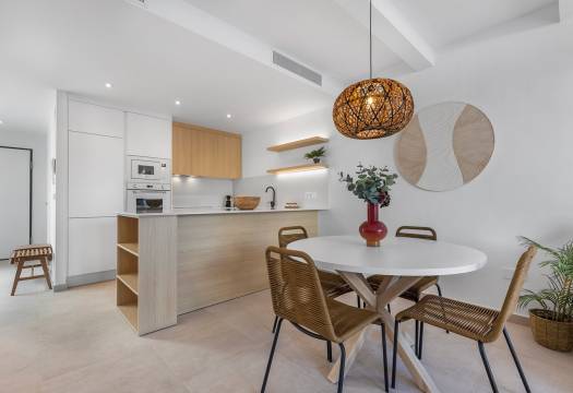 Obra Nueva - Apartmento - Dolores