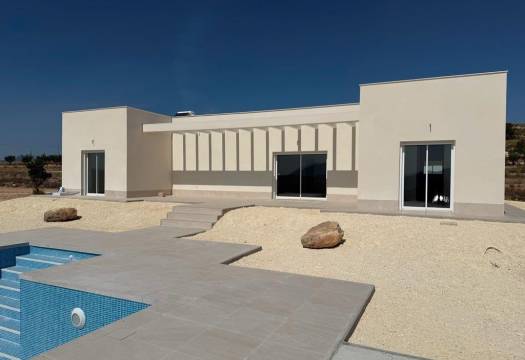 New - Villa - Pinoso - Camino Del Prado