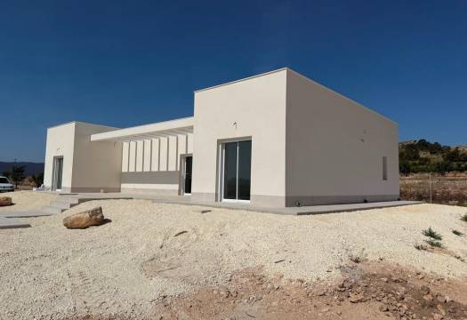 New - Villa - Pinoso - Camino Del Prado