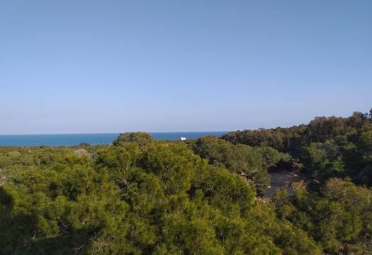 Obra Nueva - Apartmento - Guardamar del Segura - Pueblo