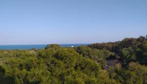 Obra Nueva - Apartmento - Guardamar del Segura - Pueblo