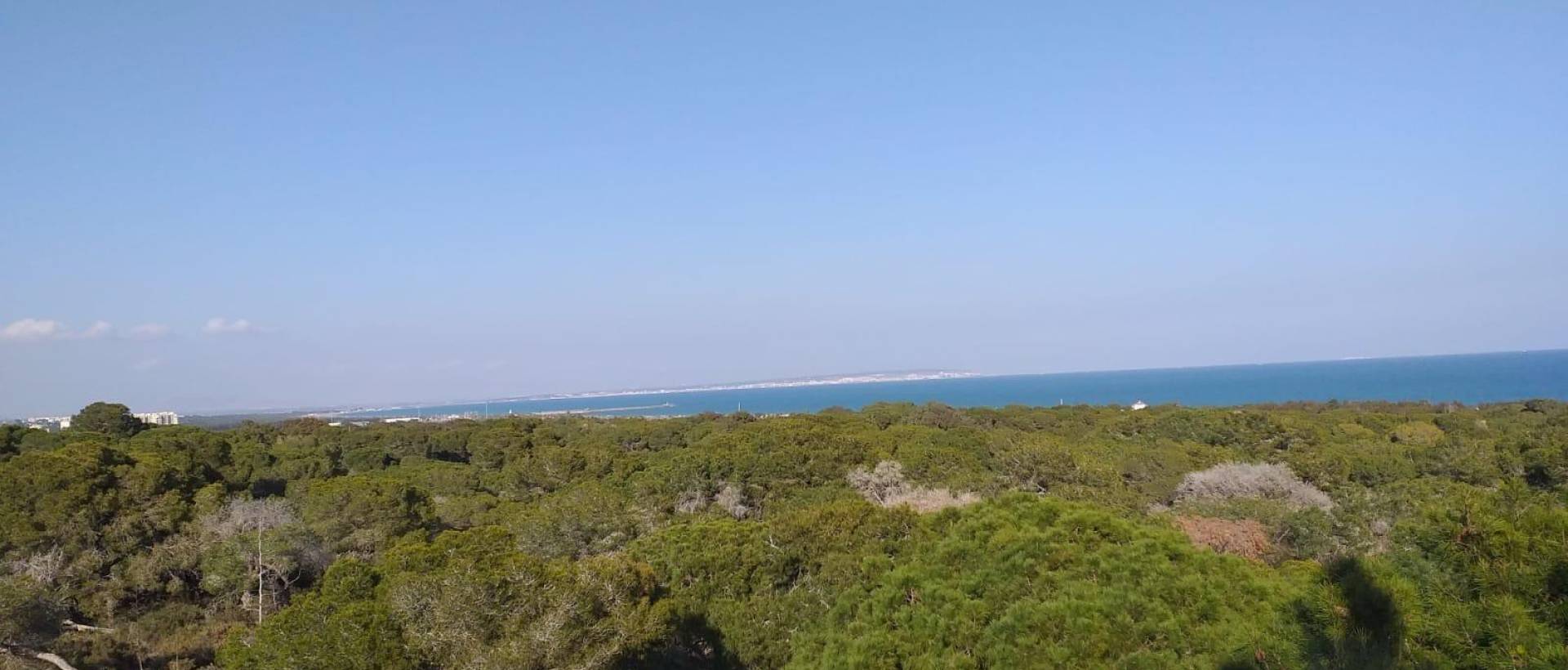 Obra Nueva - Apartmento - Guardamar del Segura - Pueblo