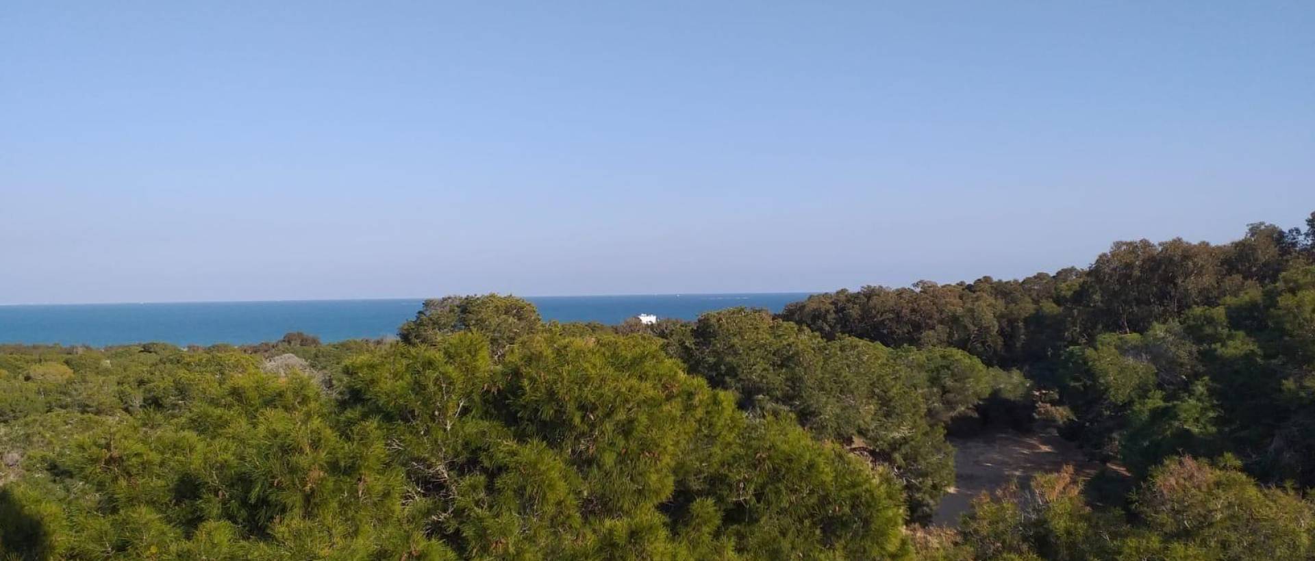 Obra Nueva - Apartmento - Guardamar del Segura - Pueblo