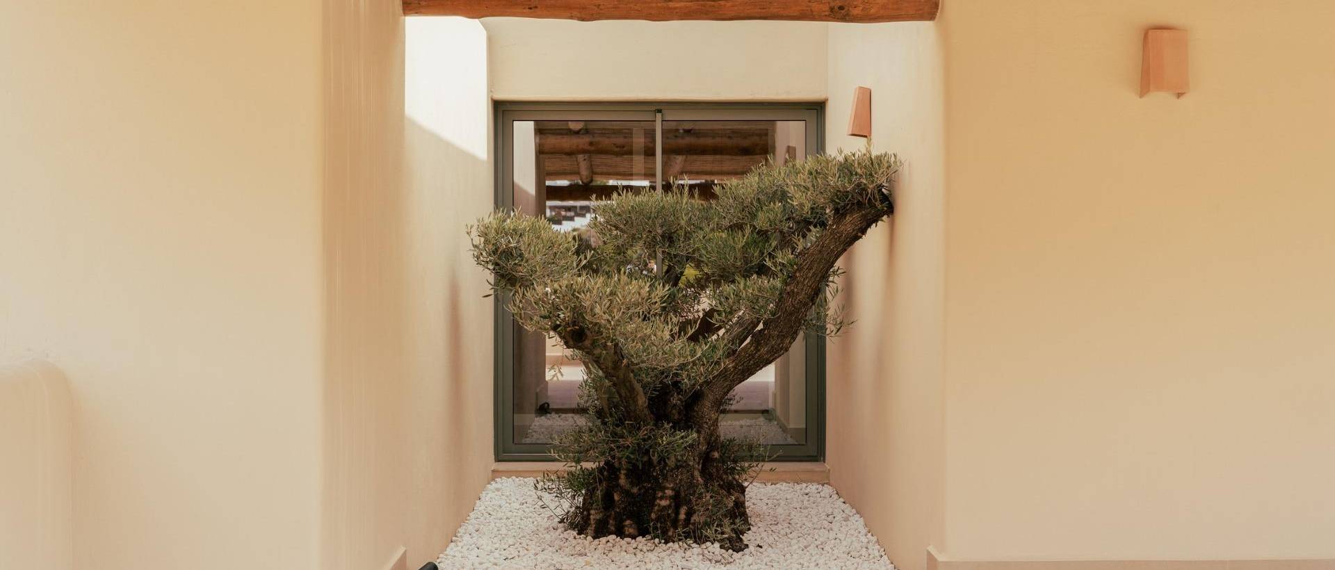 Obra Nueva - Villa / Chalet - Jávea Xàbia - Valle del Sol